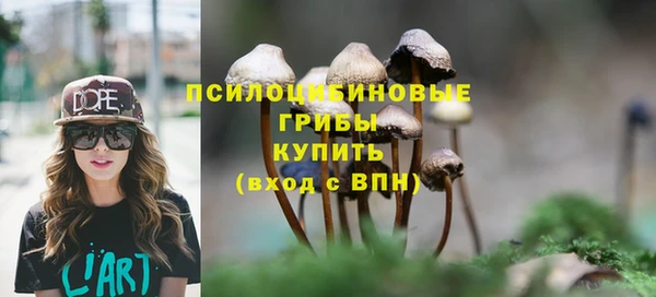мдпв Баксан