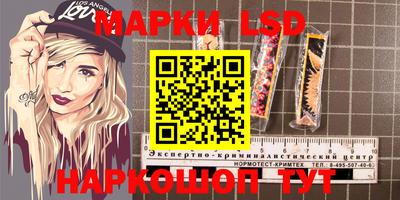 apvp Свободный