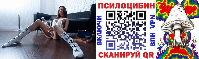 Псилоцибиновые грибы Psilocybine cubensis  Пятигорск 